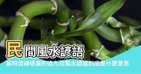 風水堪輿意思|風水